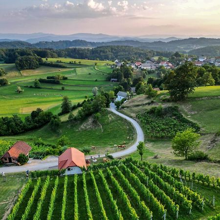 Vineyard Cottage Krivic Trebelno Buitenkant foto