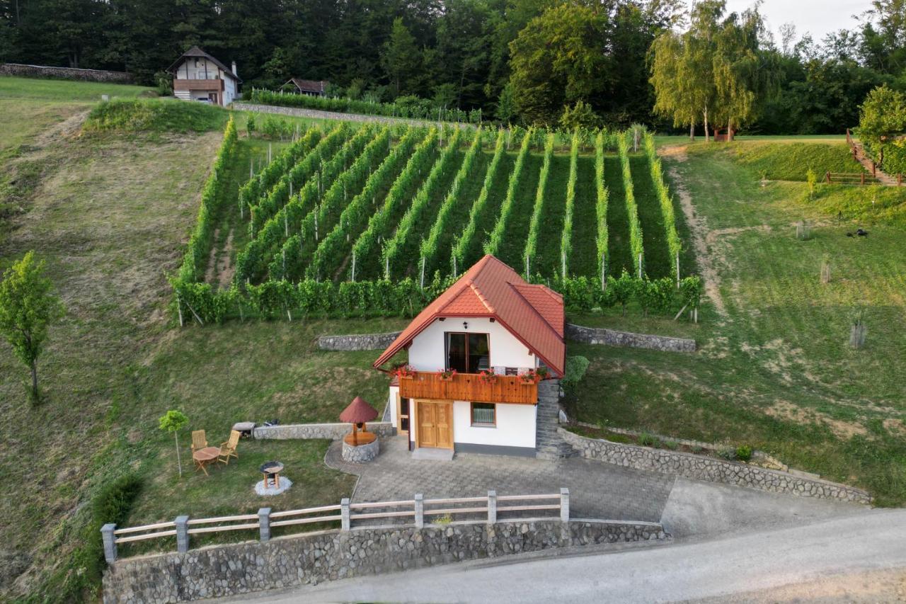 Vineyard Cottage Krivic Trebelno Buitenkant foto