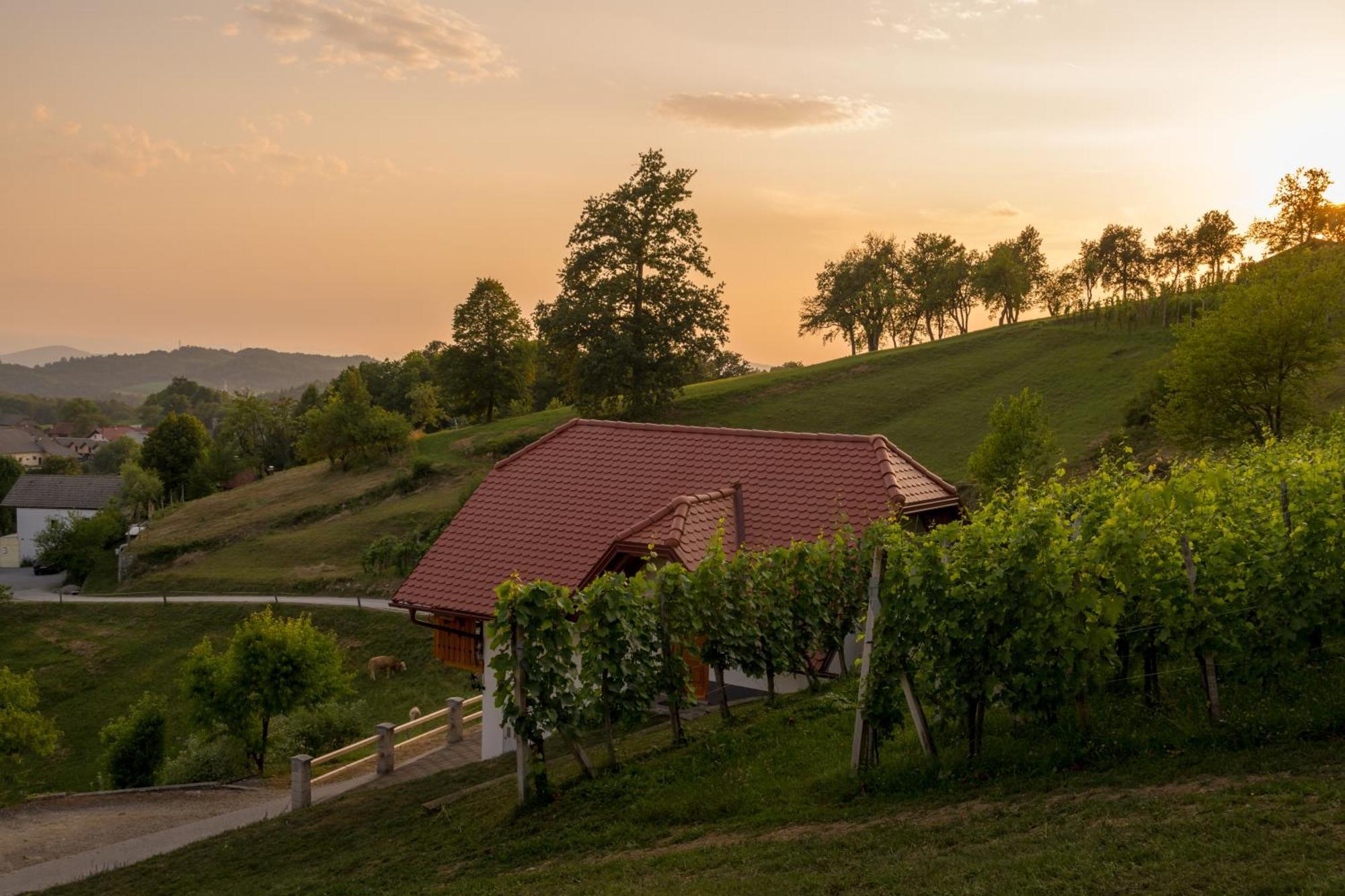 Vineyard Cottage Krivic Trebelno Buitenkant foto