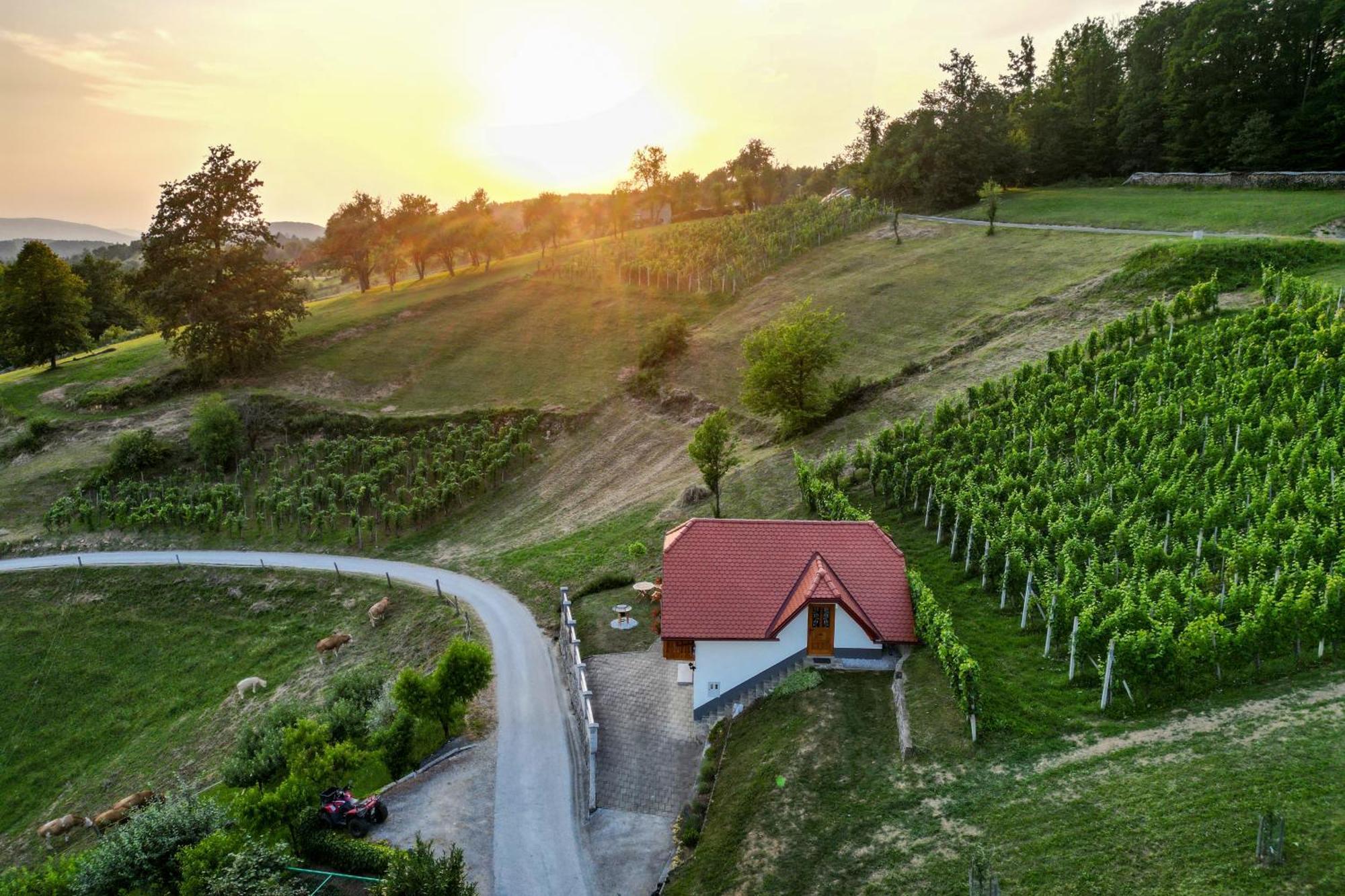 Vineyard Cottage Krivic Trebelno Buitenkant foto