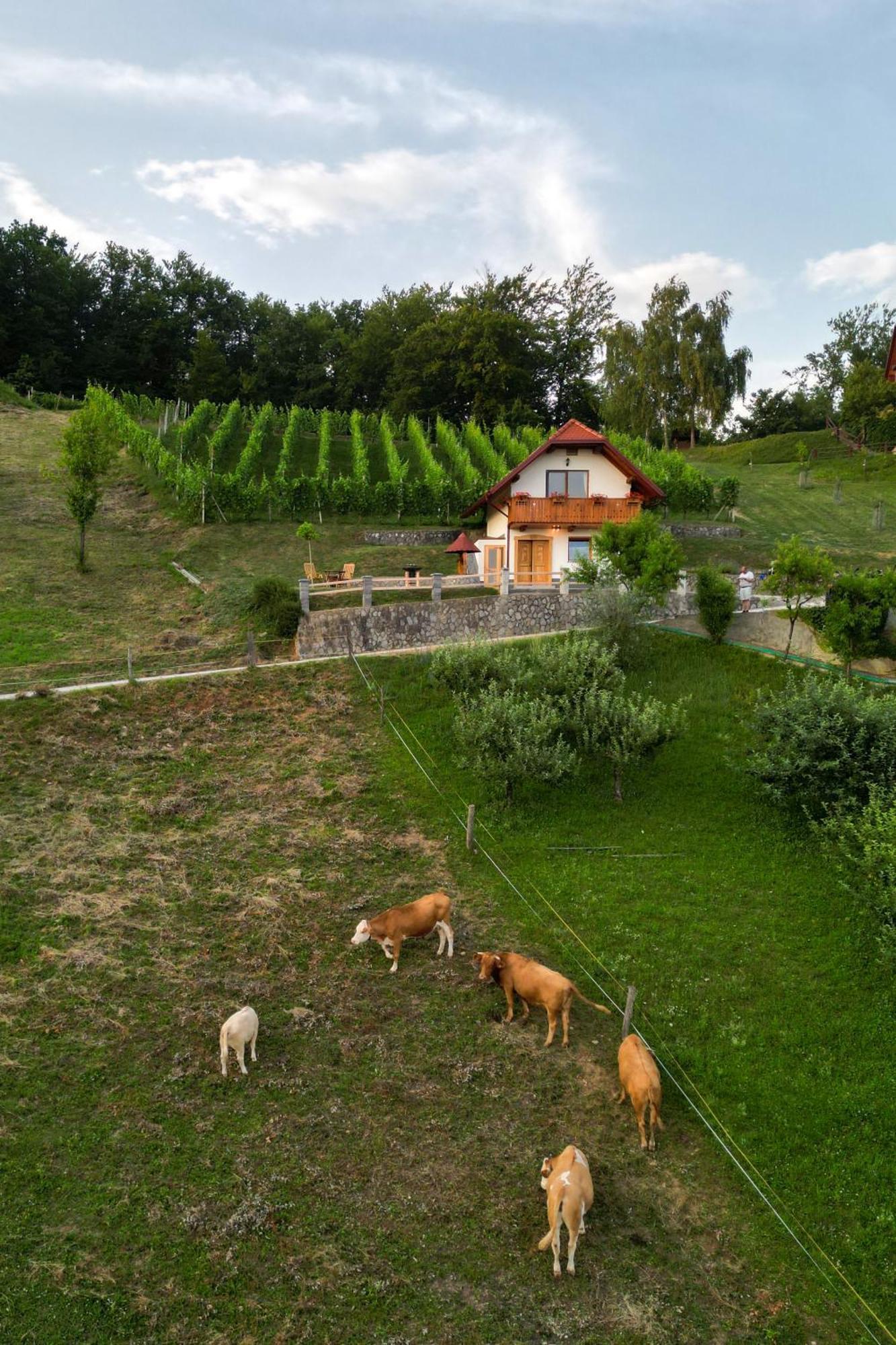 Vineyard Cottage Krivic Trebelno Buitenkant foto